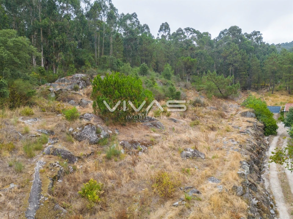 Terreno para Venda em Roriz Foto 13