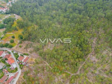 Terreno para Venda em Roriz