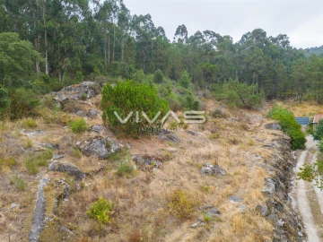 Terreno para Venda em Roriz
