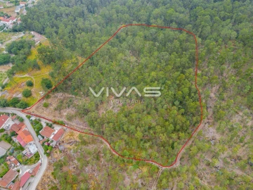 Terreno para Venda em Roriz