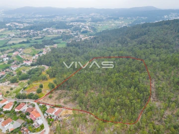 Terreno para Venda em Roriz