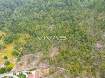 Terreno para Venda em Roriz