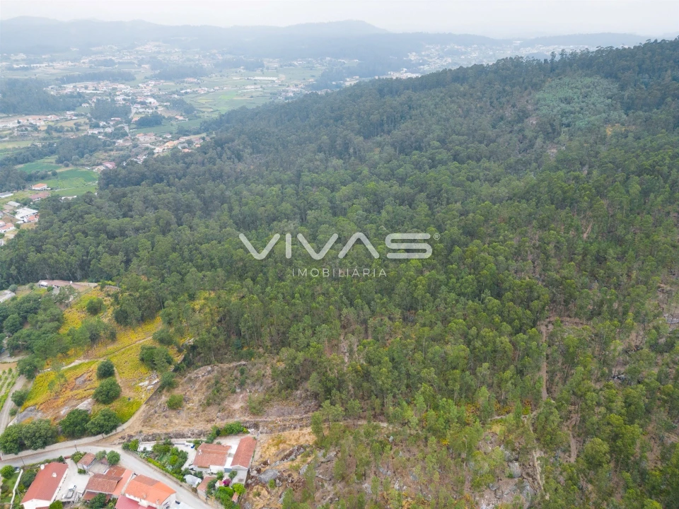 Terreno para Venda em Roriz Foto 6