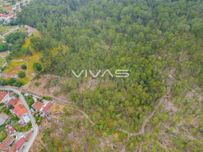 Terreno para Venda em Roriz Foto 4