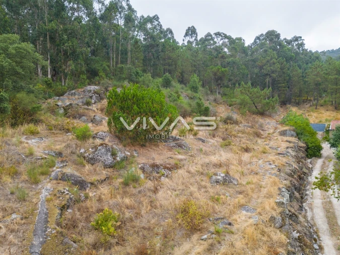 Terreno para Venda em Roriz Foto 13
