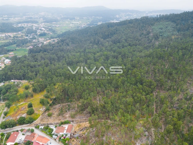 Terreno para Venda em Roriz Foto 6