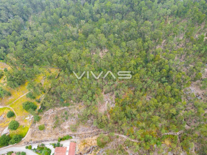 Terreno para Venda em Roriz Foto 7