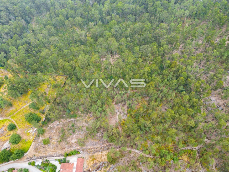 Terreno para Venda em Roriz Foto 7
