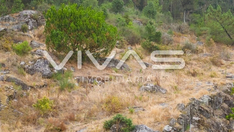 Terreno para Venda em Roriz