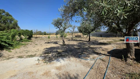 Terreno para Venda em Lardosa