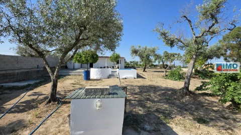 Terreno para Venda em Lardosa