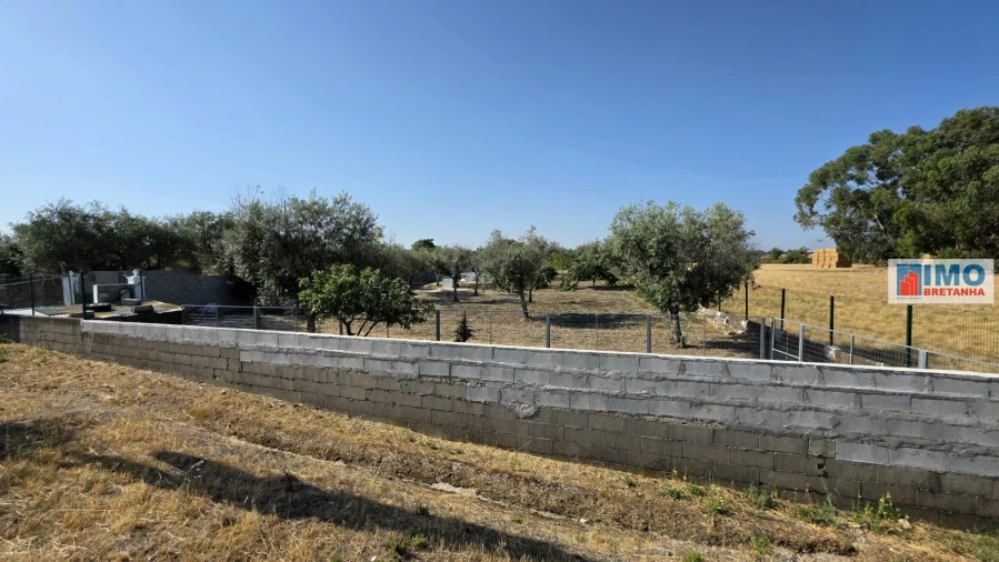 Terreno para Venda em Lardosa Foto 19