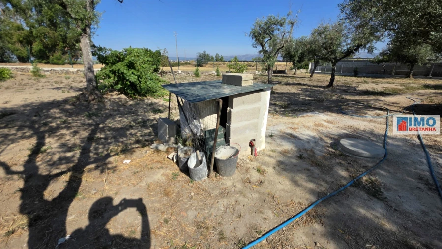 Terreno para Venda em Lardosa Foto 13