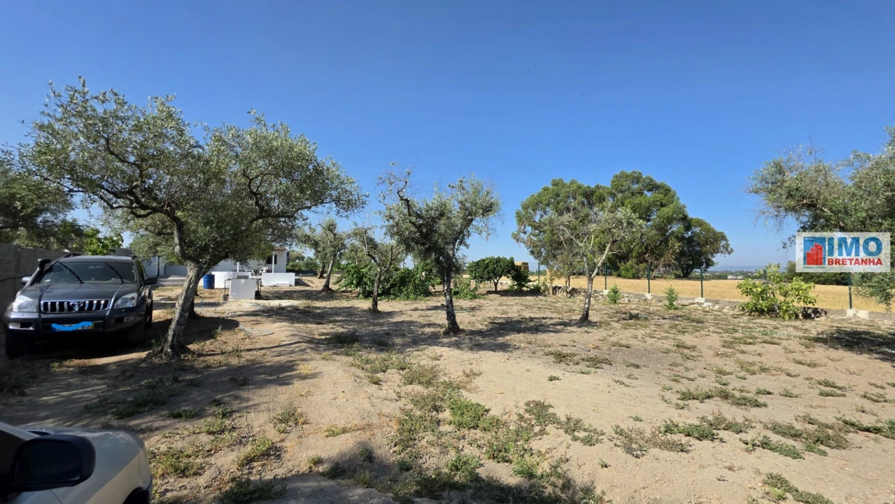 Terreno para Venda em Lardosa Foto 18