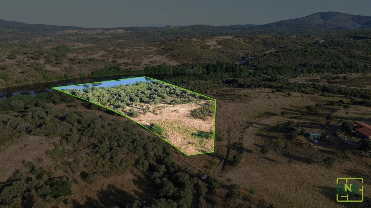 Terreno Agricola ou Rústico para Venda em Aranhas Foto 16