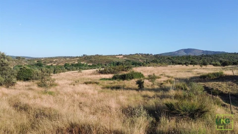 Terreno Agricola ou Rústico para Venda em Aranhas