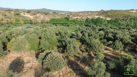 Terreno Agricola ou Rústico para Venda em Aranhas