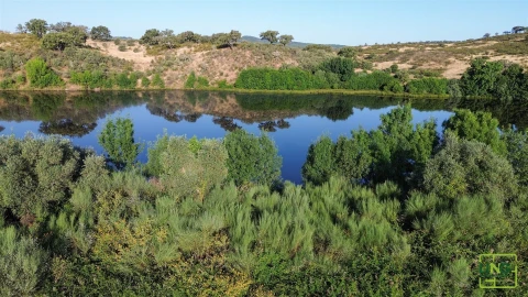 Terreno Agricola ou Rústico para Venda em Aranhas