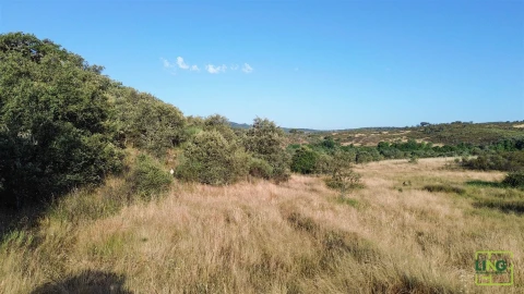 Terreno Agricola ou Rústico para Venda em Aranhas