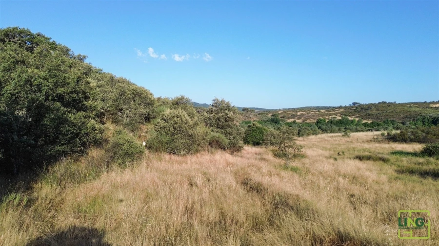 Terreno Agricola ou Rústico para Venda em Aranhas Foto 9