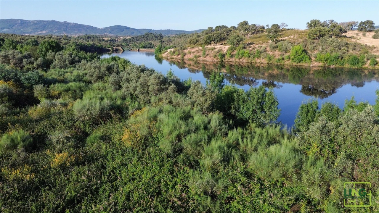 Terreno Agricola ou Rústico para Venda em Aranhas Foto 27