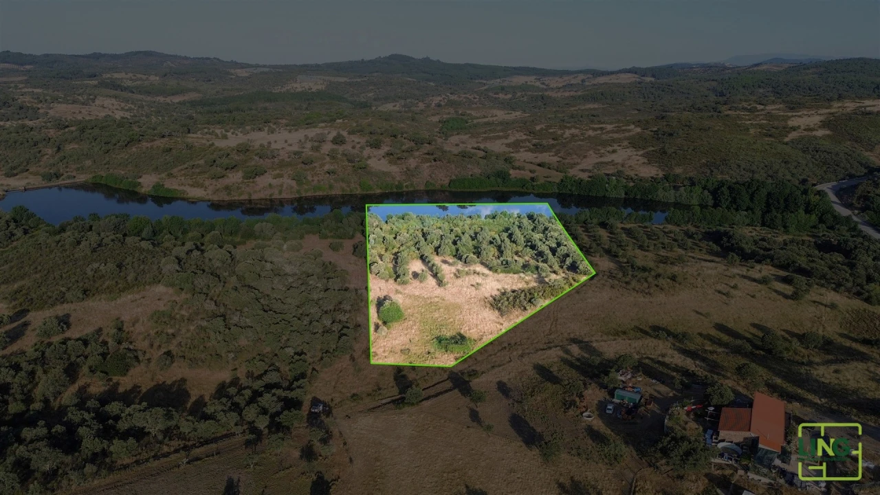 Terreno Agricola ou Rústico para Venda em Aranhas Foto 18