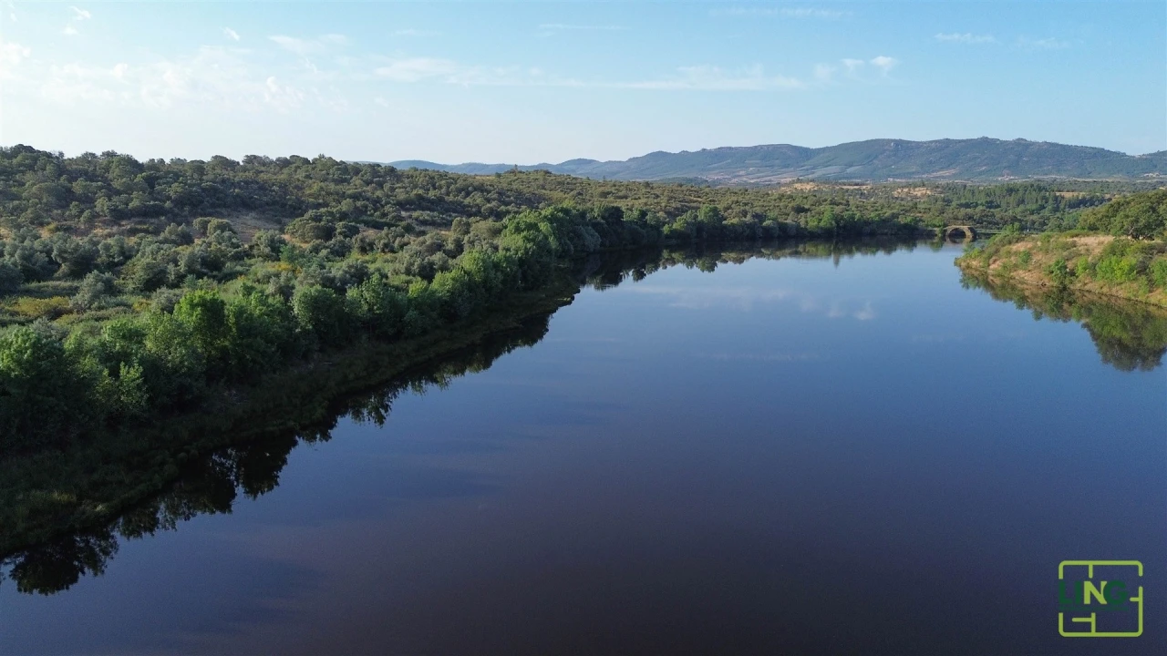Terreno Agricola ou Rústico para Venda em Aranhas Foto 20
