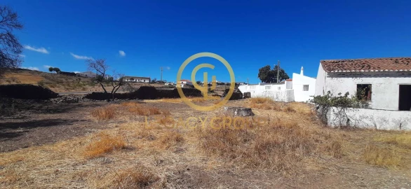 Quinta T5 para Venda em Azinhal