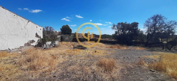 Quinta T5 para Venda em Azinhal