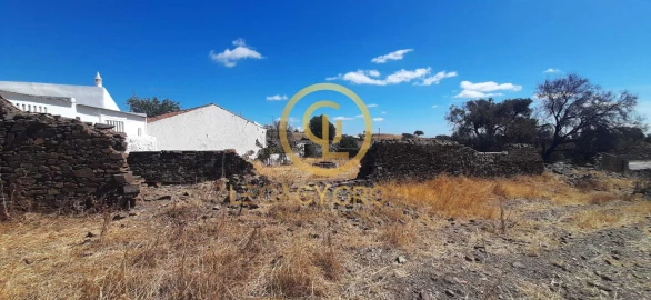 Quinta T5 para Venda em Azinhal