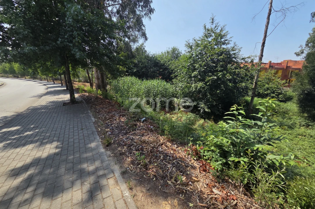 Terreno para Venda em Santa Maria da Feira, Travanca, Sanfins e Espargo Foto 12