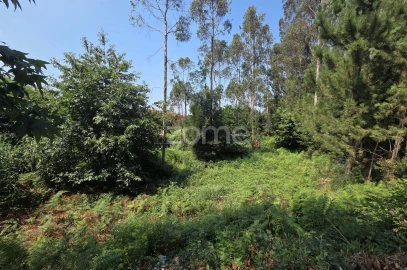 Terreno para Venda em Santa Maria da Feira, Travanca, Sanfins e Espargo