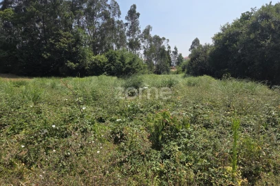 Terreno para Venda em Santa Maria da Feira, Travanca, Sanfins e Espargo
