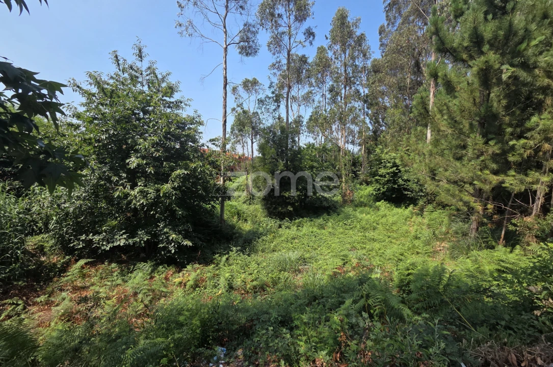 Terreno para Venda em Santa Maria da Feira, Travanca, Sanfins e Espargo Foto 11