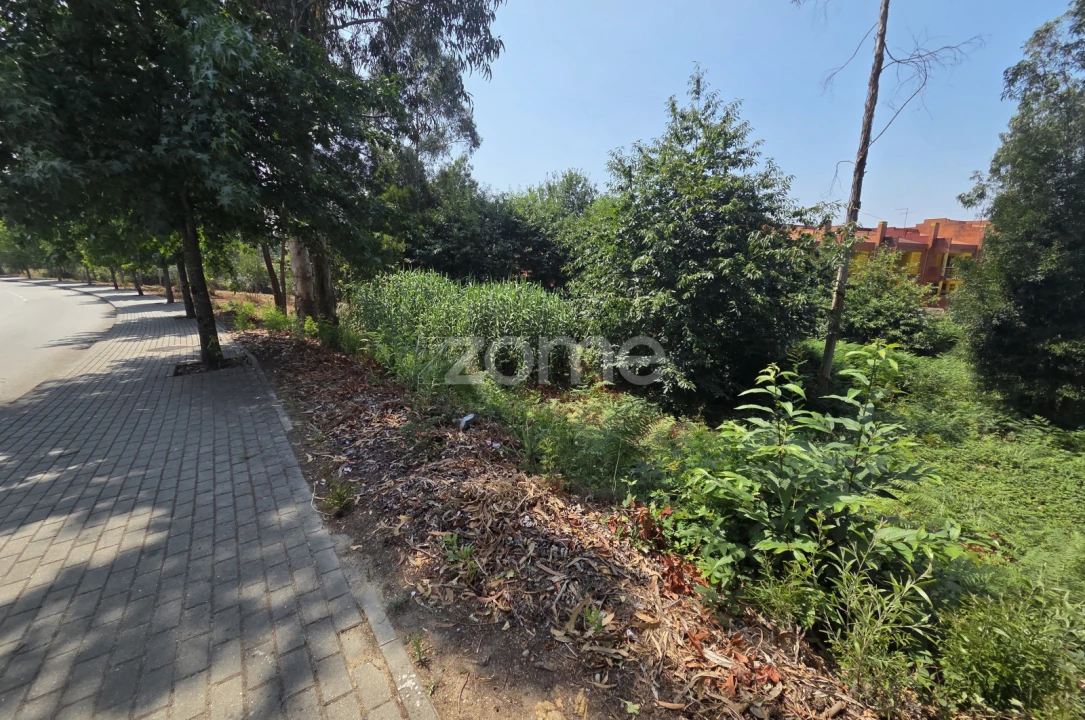 Terreno para Venda em Santa Maria da Feira, Travanca, Sanfins e Espargo Foto 10