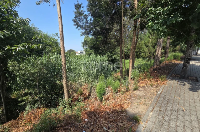 Terreno para Venda em Santa Maria da Feira, Travanca, Sanfins e Espargo Foto 13