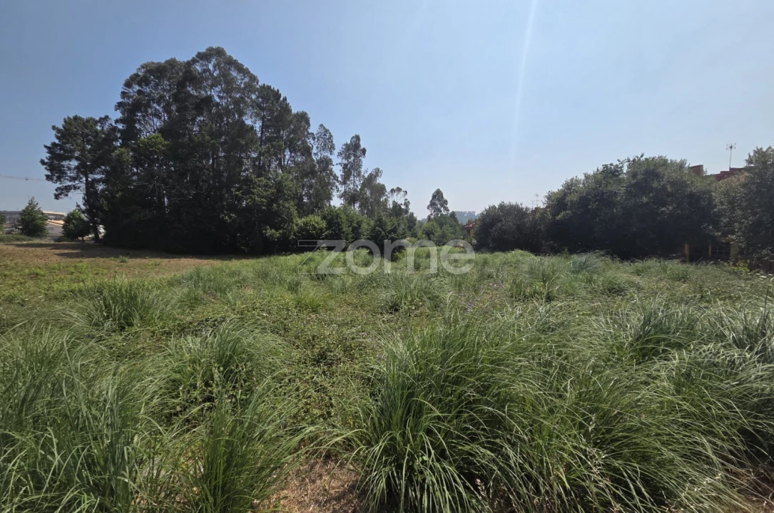 Terreno para Venda em Santa Maria da Feira, Travanca, Sanfins e Espargo Foto 15