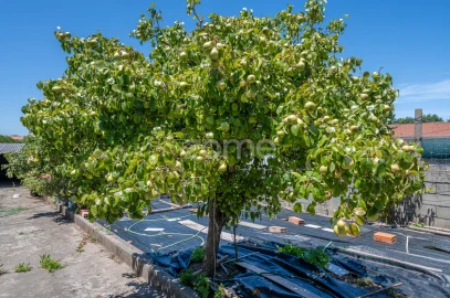 Terreno para Venda em Canidelo