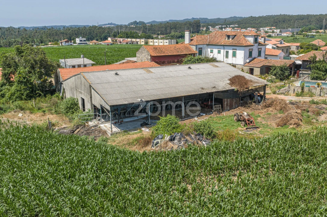 Quinta T4 para Venda em Castêlo da Maia Foto 12
