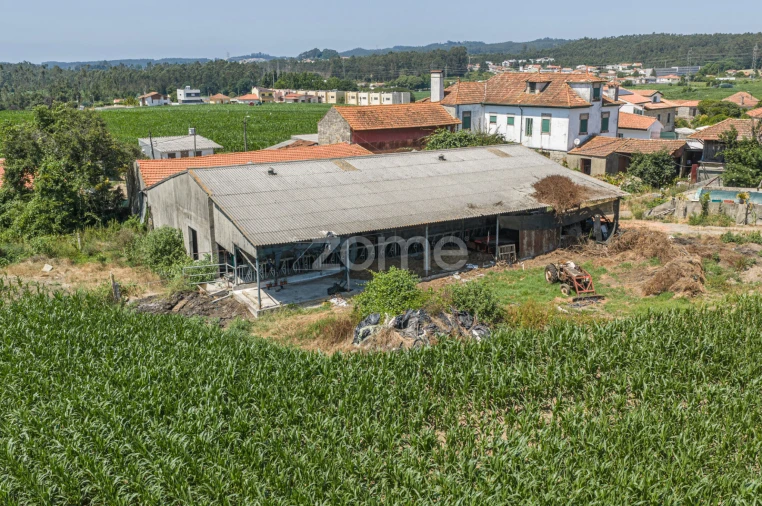 Quinta T4 para Venda em Castêlo da Maia Foto 12