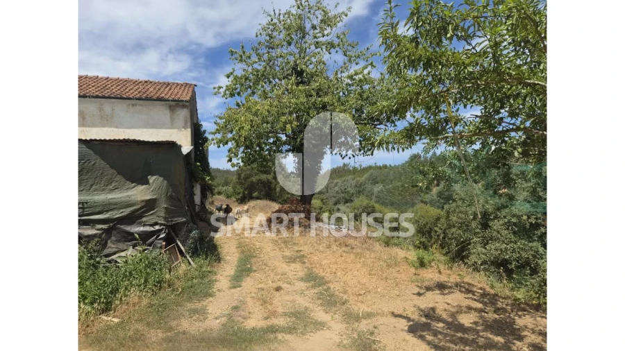 Quinta T3 para Venda em Arganil Foto 21