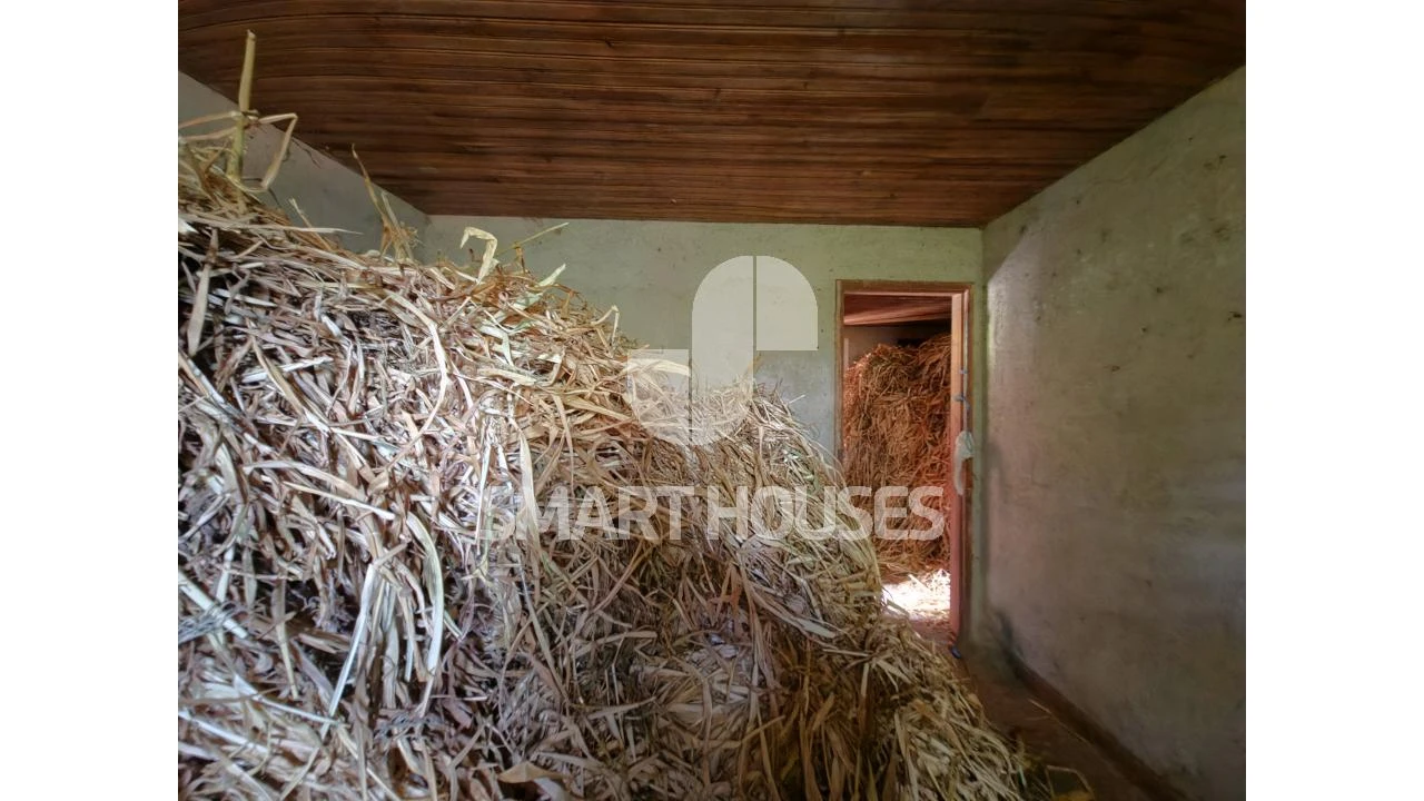 Quinta T3 para Venda em Arganil Foto 13