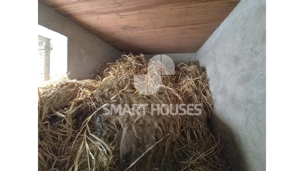 Quinta T3 para Venda em Arganil Foto 15