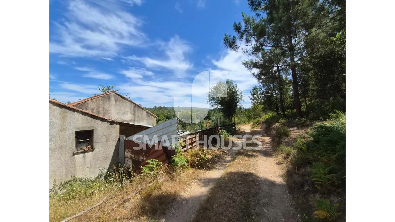 Quinta T3 para Venda em Arganil Foto 22