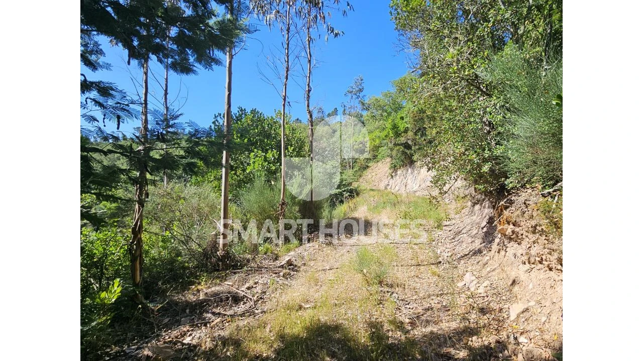 Quinta T3 para Venda em Arganil Foto 29