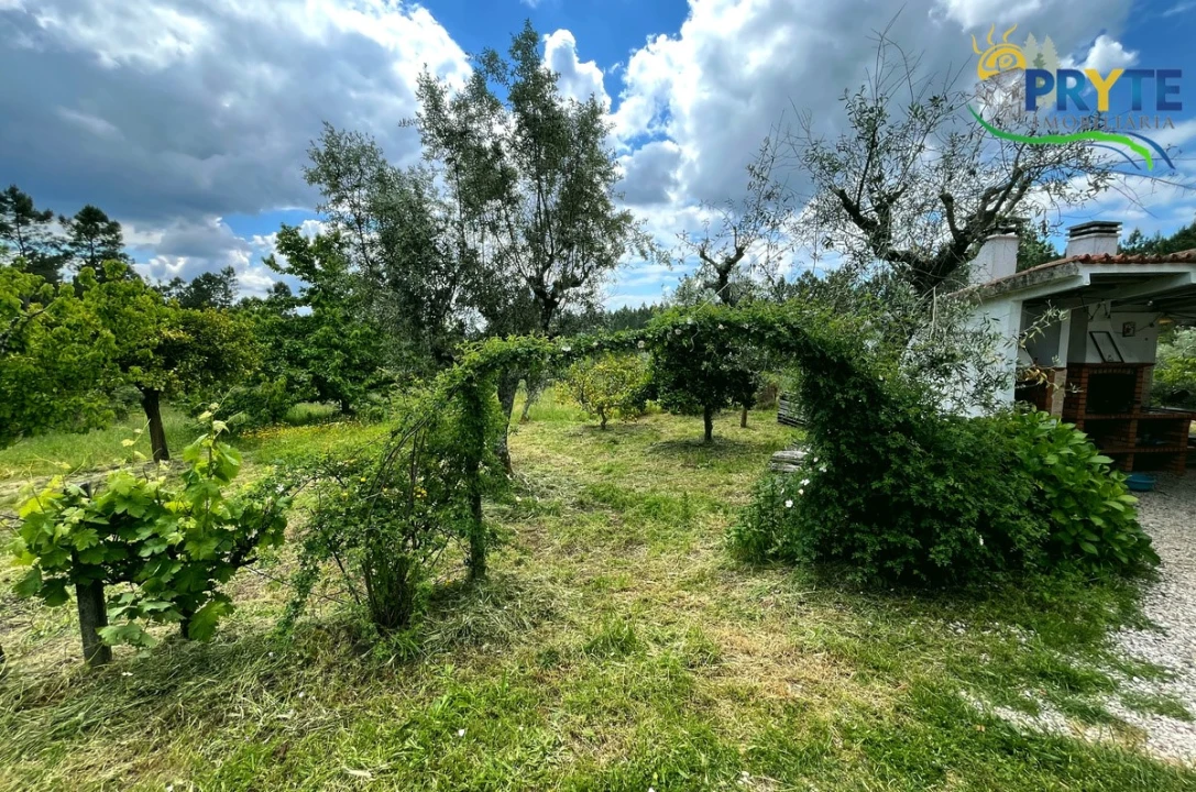 Quinta T3 para Venda em Cumeada e Marmeleiro Foto 30