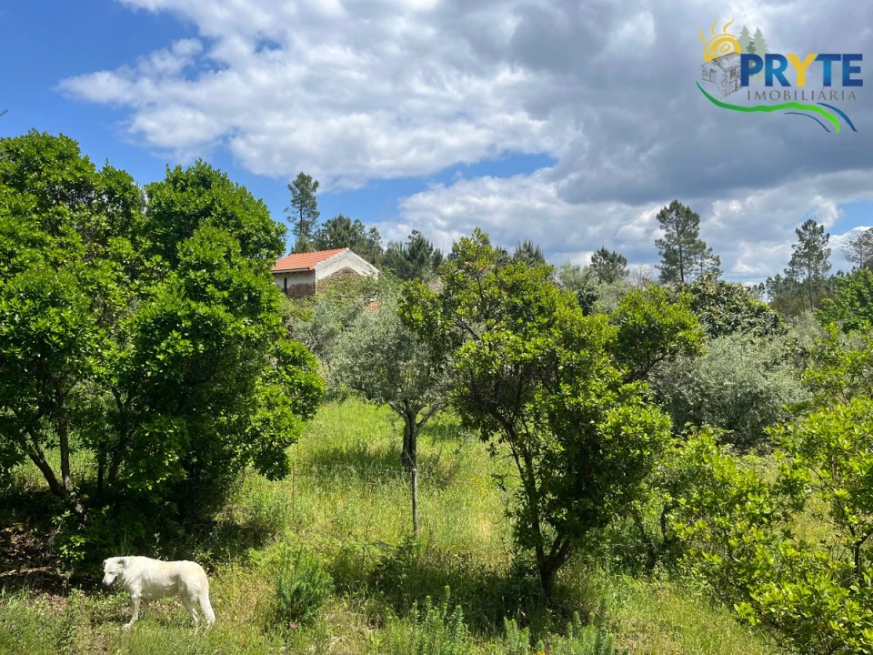 Quinta T3 para Venda em Cumeada e Marmeleiro Foto 34