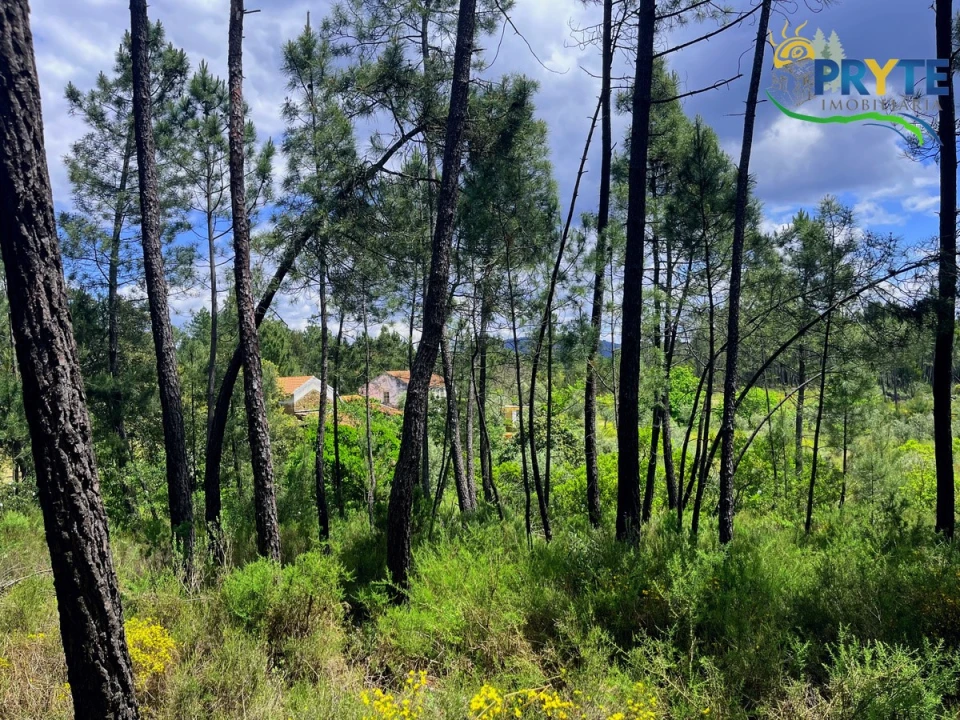 Quinta T3 para Venda em Cumeada e Marmeleiro Foto 35
