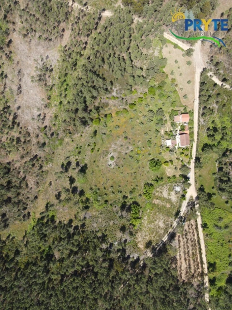 Quinta T3 para Venda em Cumeada e Marmeleiro