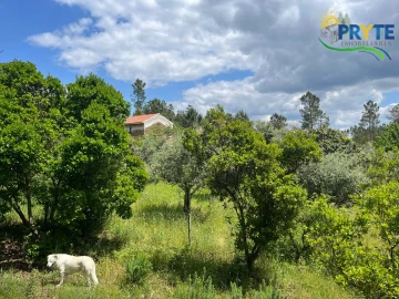 Quinta T3 para Venda em Cumeada e Marmeleiro